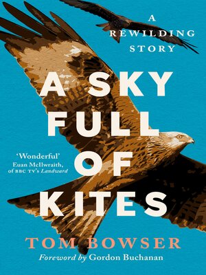cover image of A Sky Full of Kites